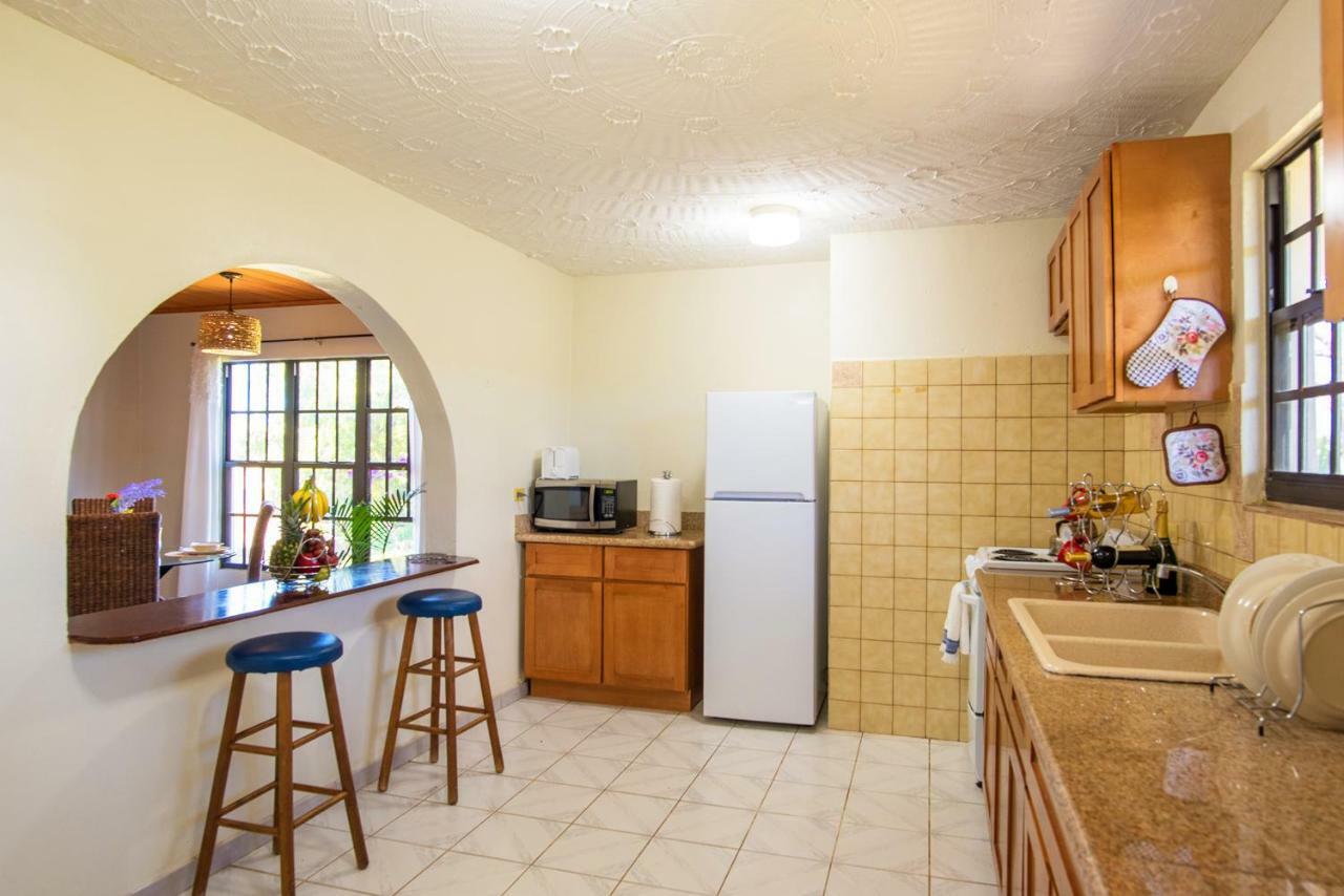 Bayview Vacation Apartments Spanish Town Eksteriør billede